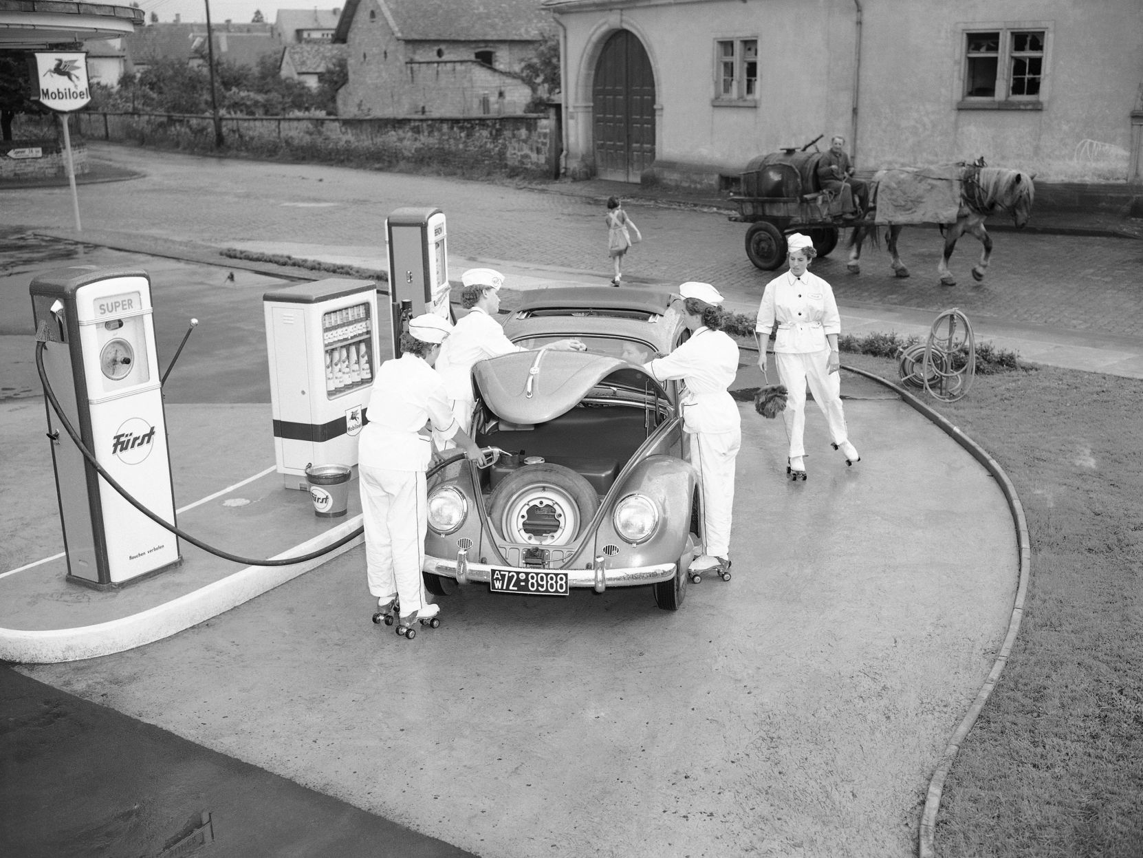 The Last Beetle